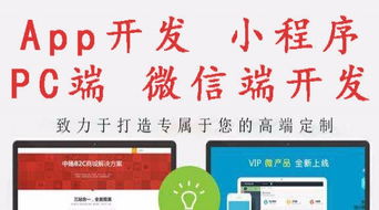 网站建设 b2c商城,微信开发 app 小程序